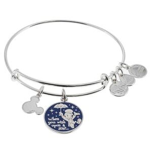 Alex and Ani Jiminy Cricket